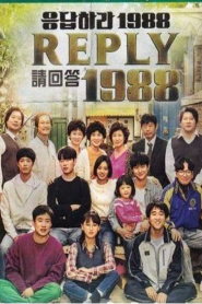 Reply 1988 📺